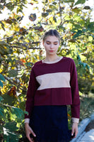 Burgundy Colorblock Long Sleeve Crop Top