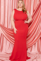 Ruffle Drapped Tail Plus Size Maxi Dress