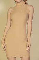 Ribbed Turtle Neck Sleeveless Bodycon Mini Dress